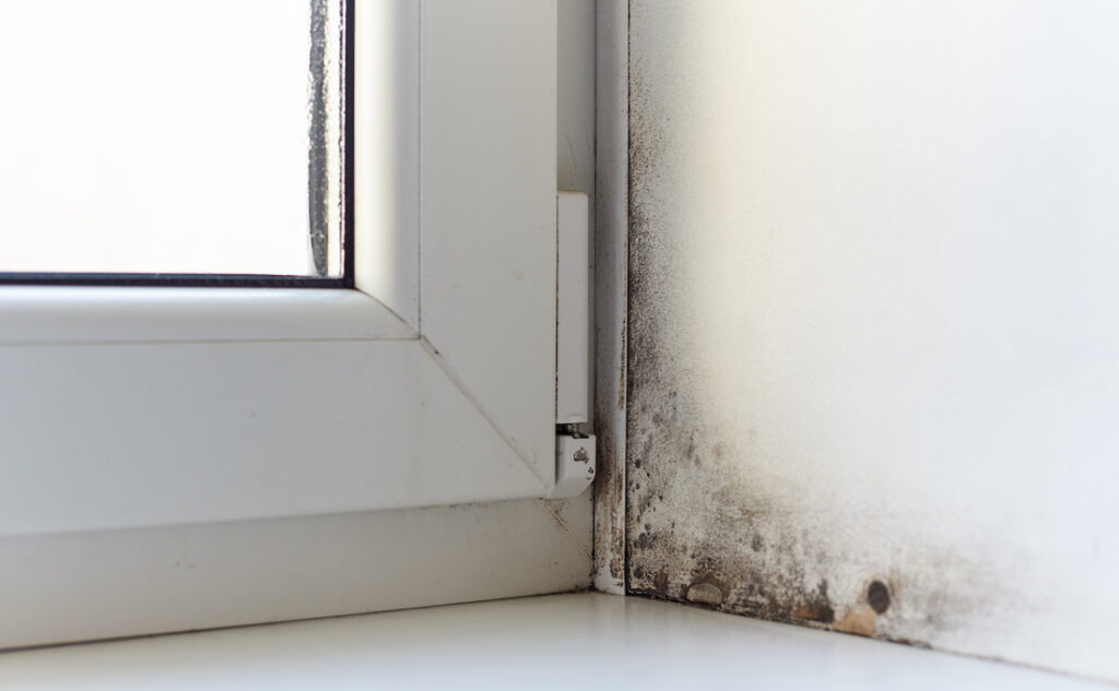 Foto 3 Muffa e spifferi